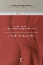 Эффективность гражданского судопроизводства